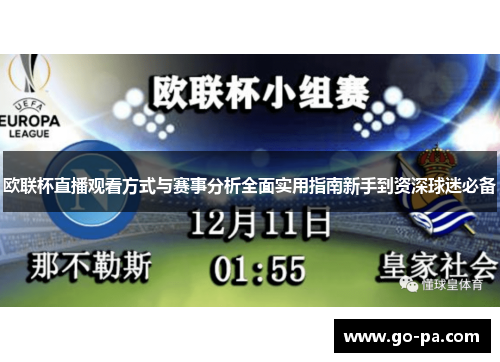 欧联杯直播观看方式与赛事分析全面实用指南新手到资深球迷必备 欧联杯直播观看方式与赛事分析全面实用指南新手到资深球迷必备