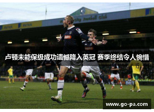卢顿未能保级成功遗憾降入英冠 赛季终结令人惋惜 卢顿未能保级成功遗憾降入英冠 赛季终结令人惋惜